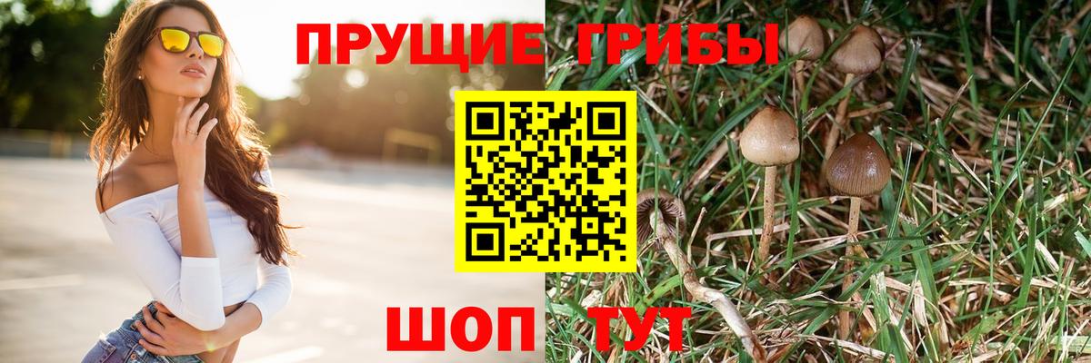 Галлюциногенные грибы Psilocybe  Вход с VPN  Псилоцибиновые грибы Cubensis  Братск 